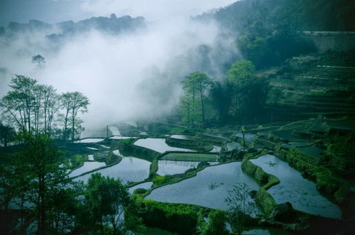 峄城免费景点大盘点，这些宝藏地不容错过！