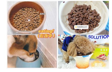 盘点4款性价比超高，好喝不贵的白酒品牌，让你轻松畅饮！