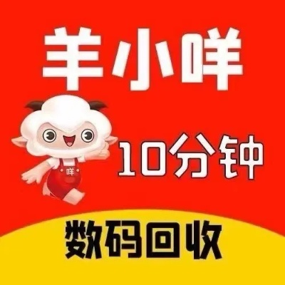 把羊小咩享花卡可以提现吗 羊小咩享花卡提现攻略，揭秘你的花卡里的钱能否顺利到账？