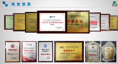 揭秘芬迪印象，板材界的明星品牌