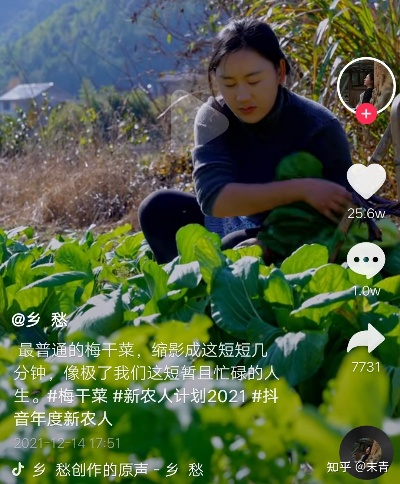 抖音号如何玩转振兴乡村扶贫助农—实操攻略大揭秘！