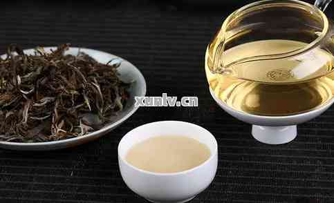 水煮茶叶新体验，盘点那些让人惊艳的好吃品牌