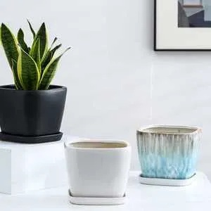 陶瓷砖花盆推荐，打造家居绿植新宠，这些品牌不容错过！