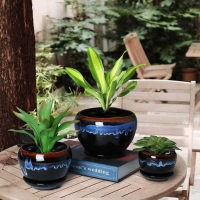 陶瓷砖花盆推荐，打造家居绿植新宠，这些品牌不容错过！
