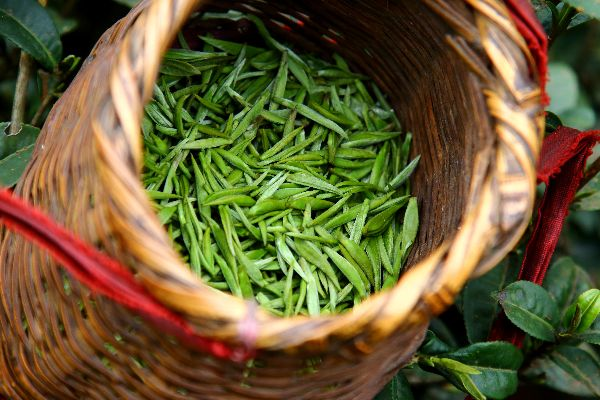 品味平和—盘点那些让人心情愉悦的茶叶品牌
