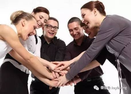 美丽乡村团队管理攻略，打造和谐高效团队