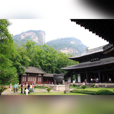 茶叶品牌策划书范文大全，打造茶香四溢的品牌传奇