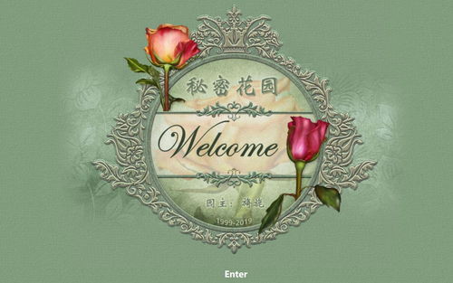 揭秘无广告神秘网站，纯净网络世界的秘密花园