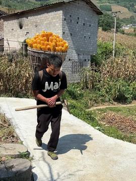 我的乡村生活点滴