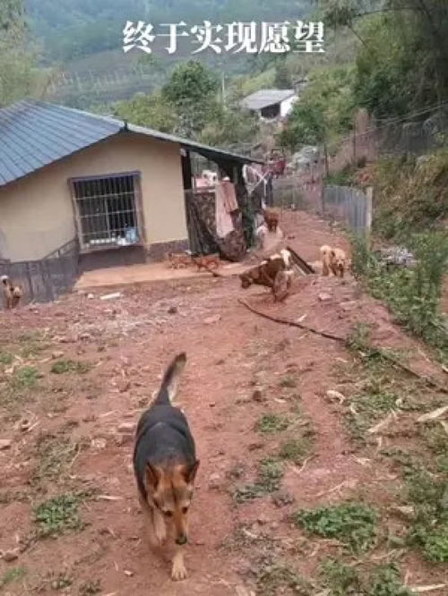 我的乡村生活点滴