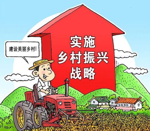 打造乡村振兴引擎—乡村人才引进具体方案详解