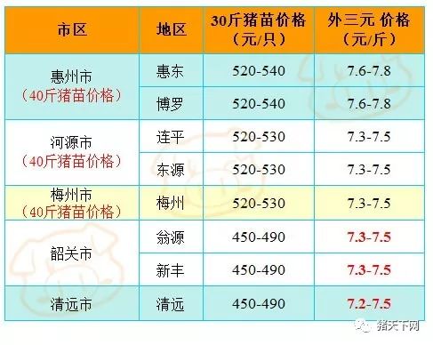 鸭绒被价格揭秘，一斤多少钱，品质与价格的关系