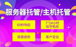物理服务器托管价格揭秘，不同配置、不同服务商的对比分析