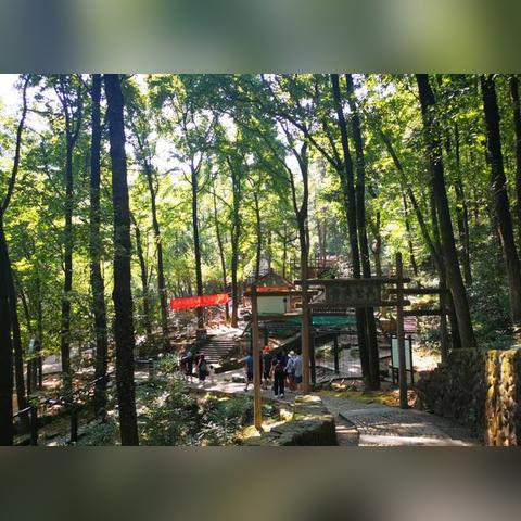 桐庐客厅家居地毯品牌—缔造舒适生活的艺术
