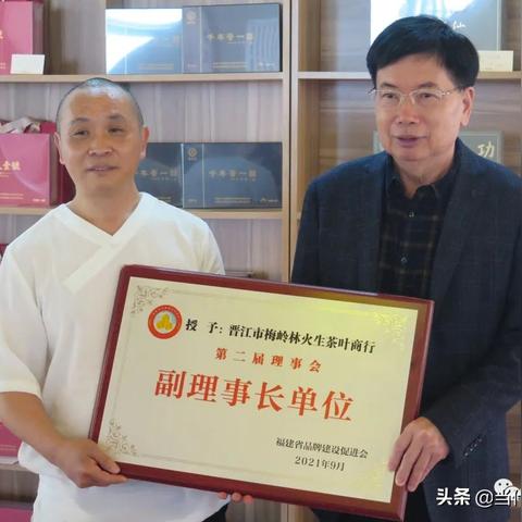 福建茶叶店品牌风云榜，十大知名品牌大揭秘！