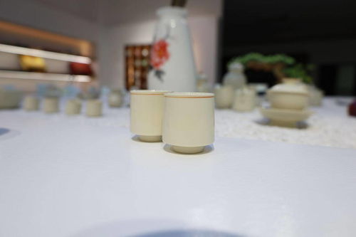 粉嫩生活，平价陶瓷杯品牌大盘点
