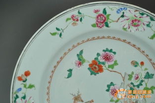 陶瓷圆盘品牌大盘点，谁才是你的心头好？