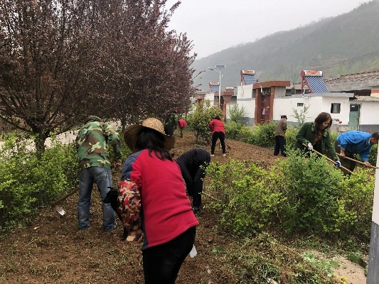 农民如何动手建设美丽乡村—乡村环境保护实用指南