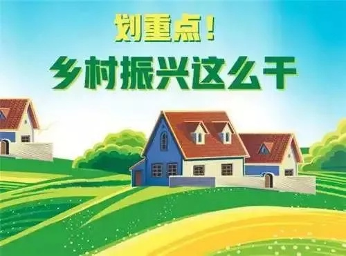 疫情之下，振兴乡村的金点子大盘点