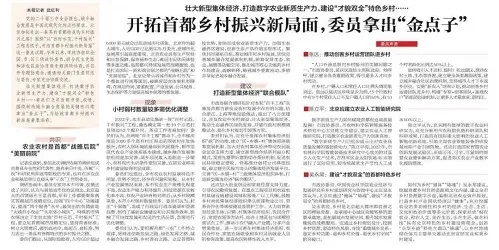 疫情之下，振兴乡村的金点子大盘点
