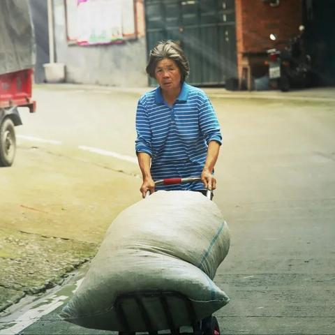 南阳茶叶界的明星品牌，探寻那些让人回味无穷的茶香传奇