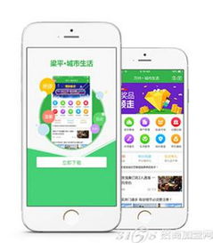 互联网品牌加盟项目大全