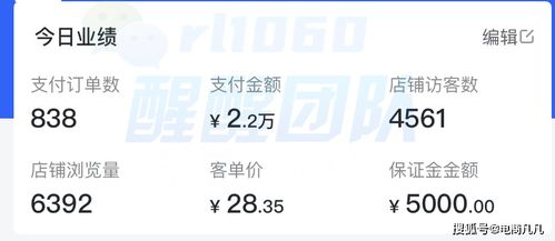 轻松掌握，抖音月付提现的代理秘籍