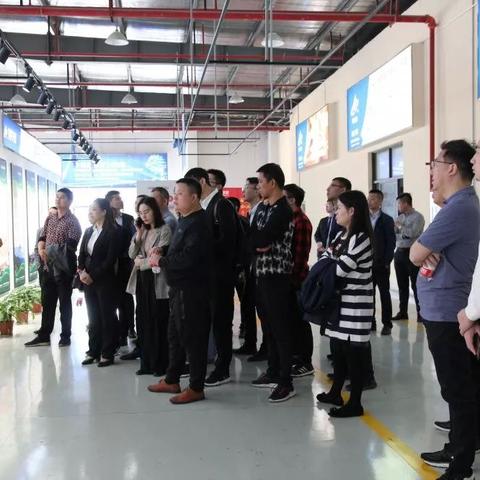 揭秘浙江四大品牌板材，品质生活从这里开始！