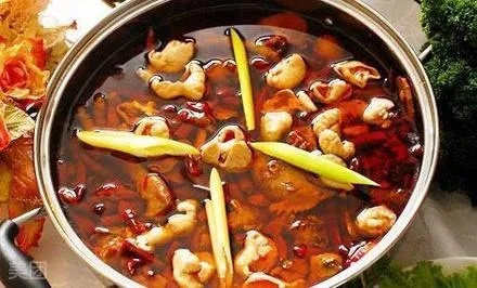 遂宁鱼火锅肥肠加盟品牌大全