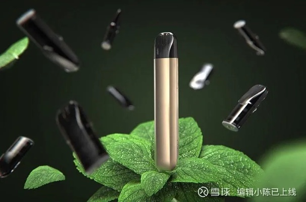 探索健康新境界，医药品牌雾化电子烟的革新之旅
