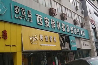 襄樊加盟养发馆品牌大盘点