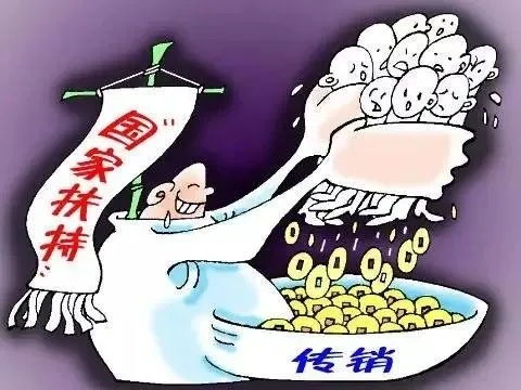 揭秘那些涉嫌传销的白酒品牌，警惕陷阱！