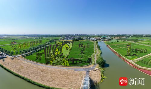水利部门助力乡村振兴，多措并举，共绘美丽乡村画卷