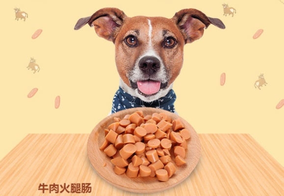宠物界的美味诱惑，盘点那些让人爱不释手的仿真零食品牌