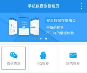 花呗买鸭怎么提现 花呗买鸭怎么提现？详细攻略与案例分析