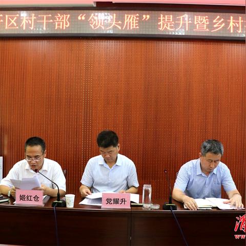 如何成为一名优秀的乡村振兴村干部—实用指南与案例分析