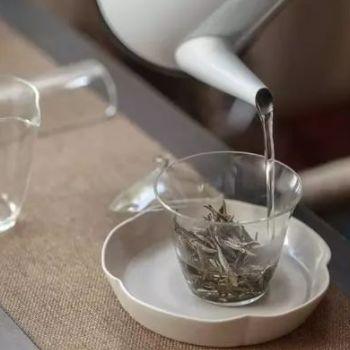 莫问茶叶品牌推荐，知乎上的热门选择，品味生活从一杯茶开始