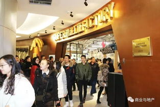 品牌加盟直营店热门品牌盘点—各具特色与成功案例