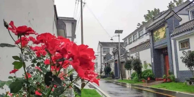 豫北地区美丽乡村建设攻略，打造宜居宜业新家园