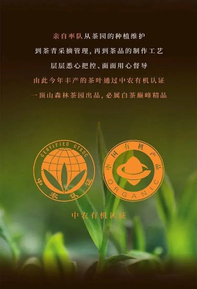 揭秘绿水青山—品味自然之韵的茶叶品牌