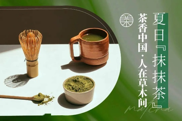 揭秘绿水青山—品味自然之韵的茶叶品牌