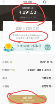 怎么去京东白条套出来 轻松解锁京东白条额度，教你一招套出更多福利！