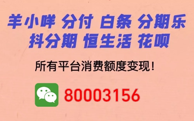 收钱吧可以套出来抖音月付吗 收钱吧如何利用其功能实现抖音月付？