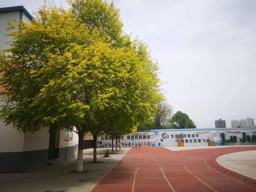 长春学西点哪家强？全方位指南助你找到心仪的西点学校