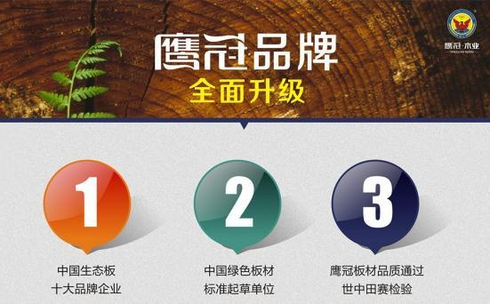 鹰冠板材品牌实力解析，行业排名揭秘与案例分享