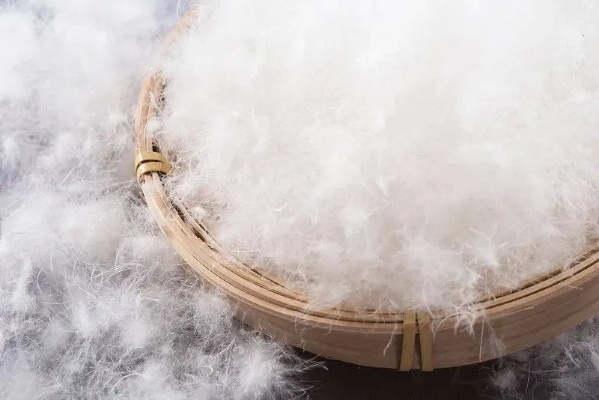 鸭绒被放几年没盖起来，还能用吗？揭秘鸭绒被的长寿秘诀