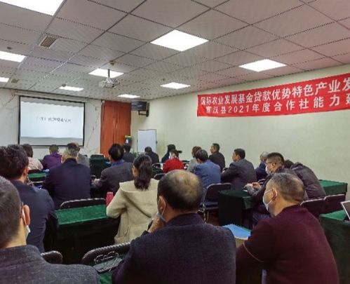 供销社在乡村振兴中的角色与作用—以发展为例