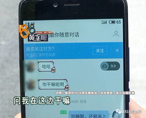 揭秘如何查看朋友手机陌陌聊天记录，实用技巧与注意事项