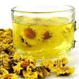 盘点那些让人陶醉的菊花白酒，哪一款是你的心头好？