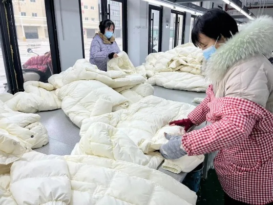 三门峡鸭绒被加工厂家的探秘之旅
